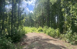 TBD Lot 6B Red Bluff Rd., Loris, SC 29569