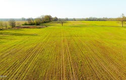 Boydsville Road, Palmersville, TN 38241