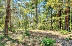 Moore Homestead Road, Philo, CA 95466