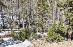 10 Lynx Drive, Taos Ski Valley, NM 87525