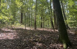 348 Pat Rich, Canton, GA 30115