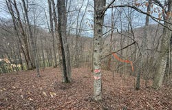 TBD Copen Rd, Copen, WV 26615