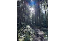 ArchCape, OR 97102
