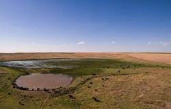 NHN Cassidy Rd, Havre, MT 59501