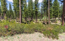 7024 Villandry Circle, Truckee, CA 96161