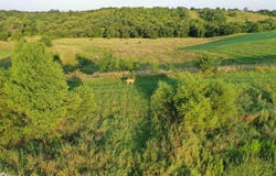 277th Trail, Chariton, IA 50049