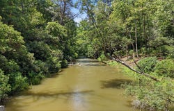 464 Whispering Pine Lane, Cherry Log, GA 30522