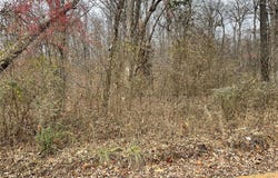 0 County Road 160 E-4, Doniphan, MO 63935