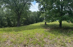 127.40 AC SECTOR ROAD, PURGITSVILLE, WV 26852