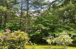 11882 BUMBARGER CIRCLE, PETERSBURG, PA 16669