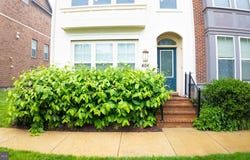 404 HENDRIX AVENUE, GAITHERSBURG, MD 20878