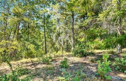 Moore Homestead Road, Philo, CA 95466