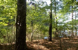 12 RIVERVIEW Court, Lincolnton, GA 30817