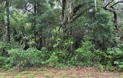 9657 W Gardeners Lane, Crystal River, FL 34428