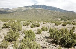 10 Acres, Montello, NV 89830