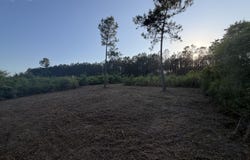 14.6 Acres Hwy 48 E, Sandy Hook, MS 39478