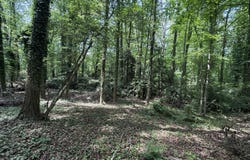 0 Linda, Hartwell, GA 30643