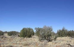 Sec 5 T14N, R16E CR Lot 016B --, Heber, AZ 85928