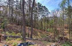 259 High River Road, Ellijay, GA 30540