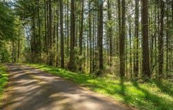 18675 SW FOREST PARK RD, Hillsboro, OR 97123