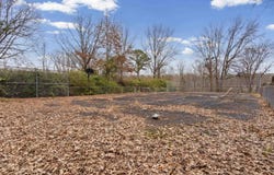 165 DEVILS BACKBONE Rd, Saltillo, MS 38866