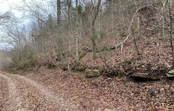001-06078-001 Onwata  LN, Yellville, AR 72687