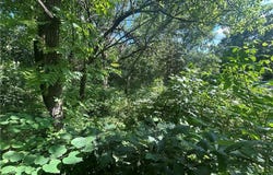226 E Sugar Lake Drive, Mound City, KS 66056