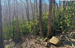 Gumtree Road, Beech Mountain, NC 28604