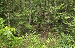 58 Pamplona Way, Hot Springs Village, AR 71909