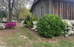 3115 Riverside Drive, White Hall, AR 71602