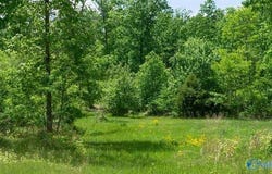 1203 county road 303, Princeton, AL 35654