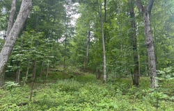 11629 S Tower, Maple City, MI 49664