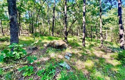 01 Broadway  ST, Mansfield, AR 72944