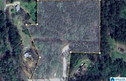 1355 OLD PORT DRIVE lot: 1, MULGA, AL 35118