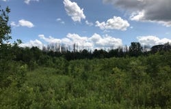 5312 18 Mile Road NE, Cedar Springs, MI 49319