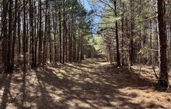 Hickory Ridge Road, Hermanville, MS 39086