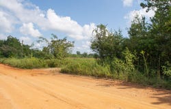 Vacant Pittman Hill Rd, Marianna, FL 32448