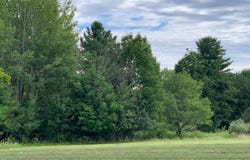 W Houghton Lake Drive, Houghton Lake, MI 48629