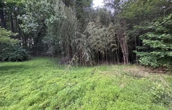 3515 CLAYTON ROAD, JOPPA, MD 21085