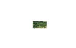 3922 COLLARD VALLEY Road, Cedartown, GA 30125