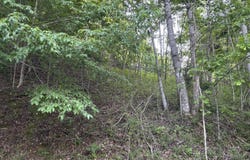 0 Waterwalk Court, Smithville, TN 37166