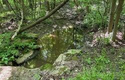 Monroe Center Road, Conneaut, OH 44030