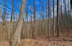 57 Rim Rock, Young Harris, GA 30582