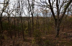 27871 Lakeview  DR, Other OK, OK 74451