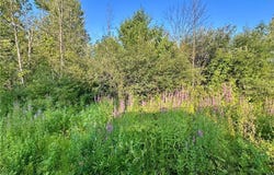 Lower Lawrence Street, Westmoreland, NY 13440