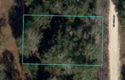 NE 110TH Court, WILLISTON, FL 32696