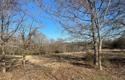000 County Road 2431, Como, TX 75431