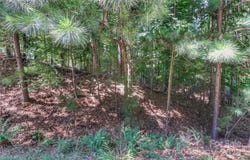 496 Kenway Loop, Mooresville, NC 28117