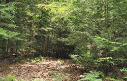 0 Oliver Hill Road, Swanzey, NH 03446