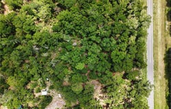 NE 410TH Avenue, OLD TOWN, FL 32680